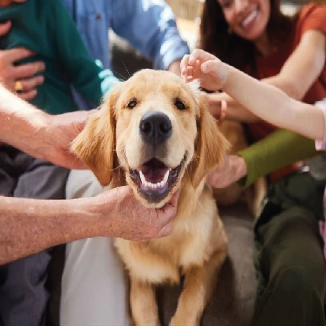 No Breed Restrictions