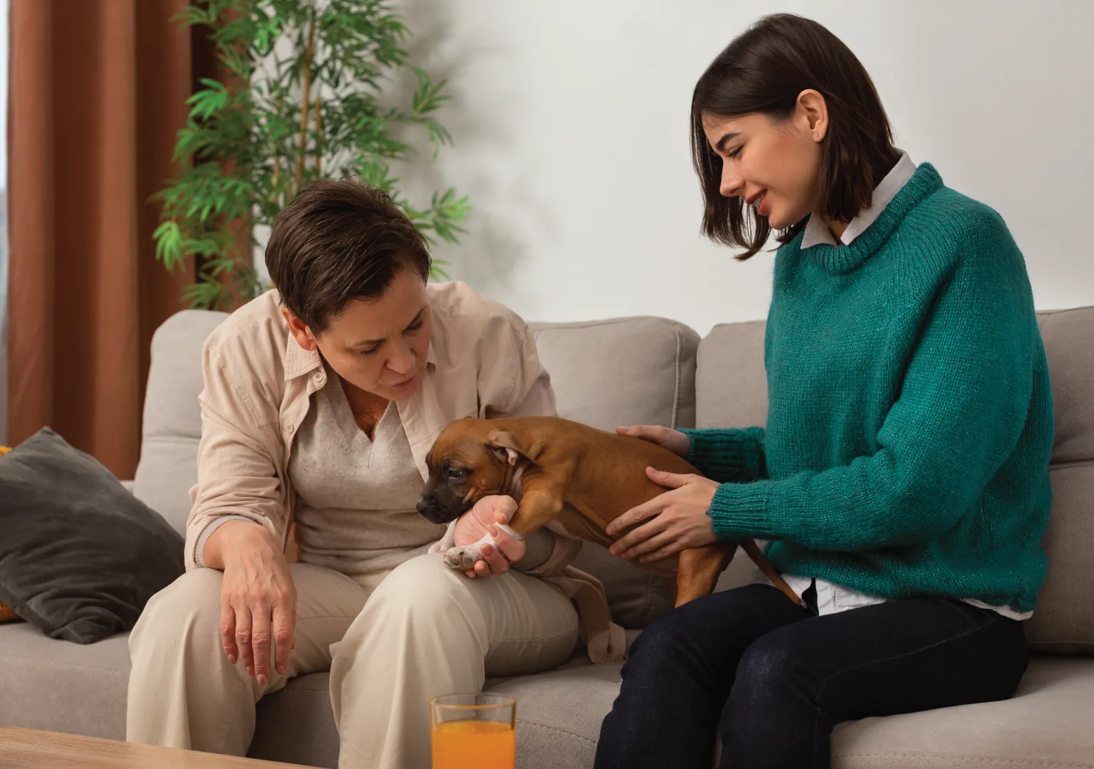 Mental Health Benefits