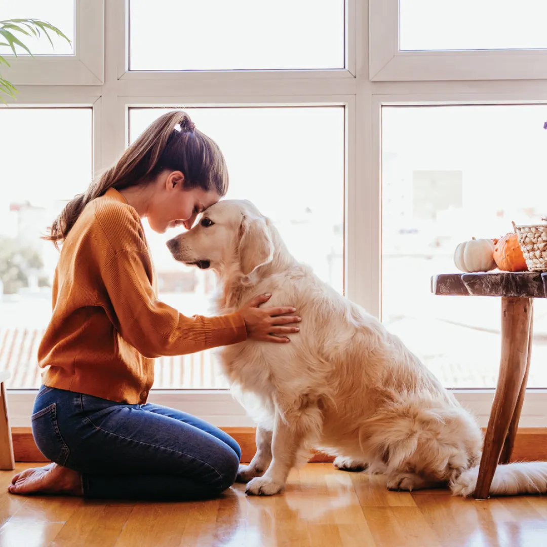 Qualifying Conditions